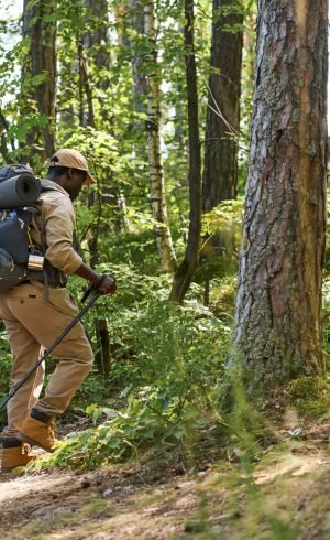 Side view of cute schoolboy with rucksack and trekking sticks following his grandfather with backpack while moving uphill between pines